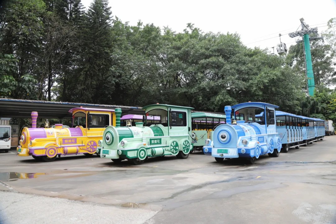 4萬公里 ，100%出勤率！宇通觀光車助力長(zhǎng)隆打造沉浸式生態(tài)之旅